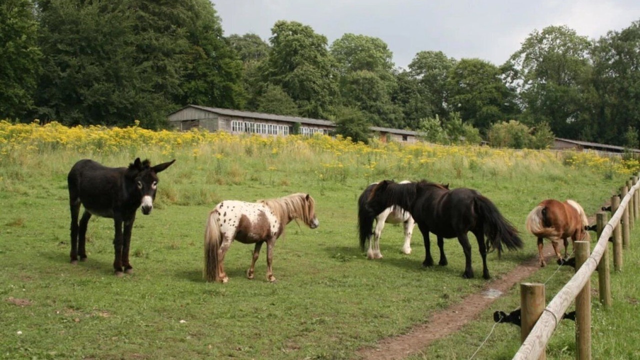 Photo of Others in Port-le-Grand
