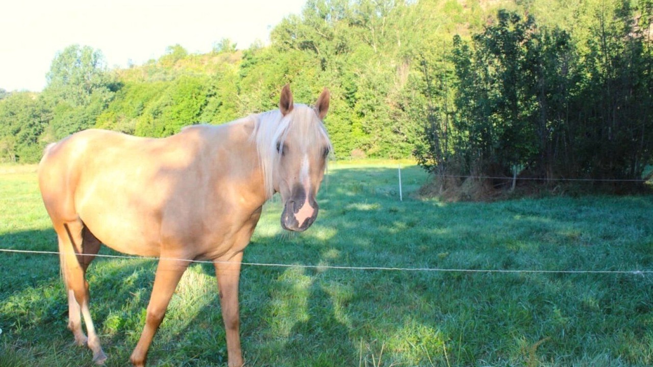 Photo of Others in Belmont-sur-Rance