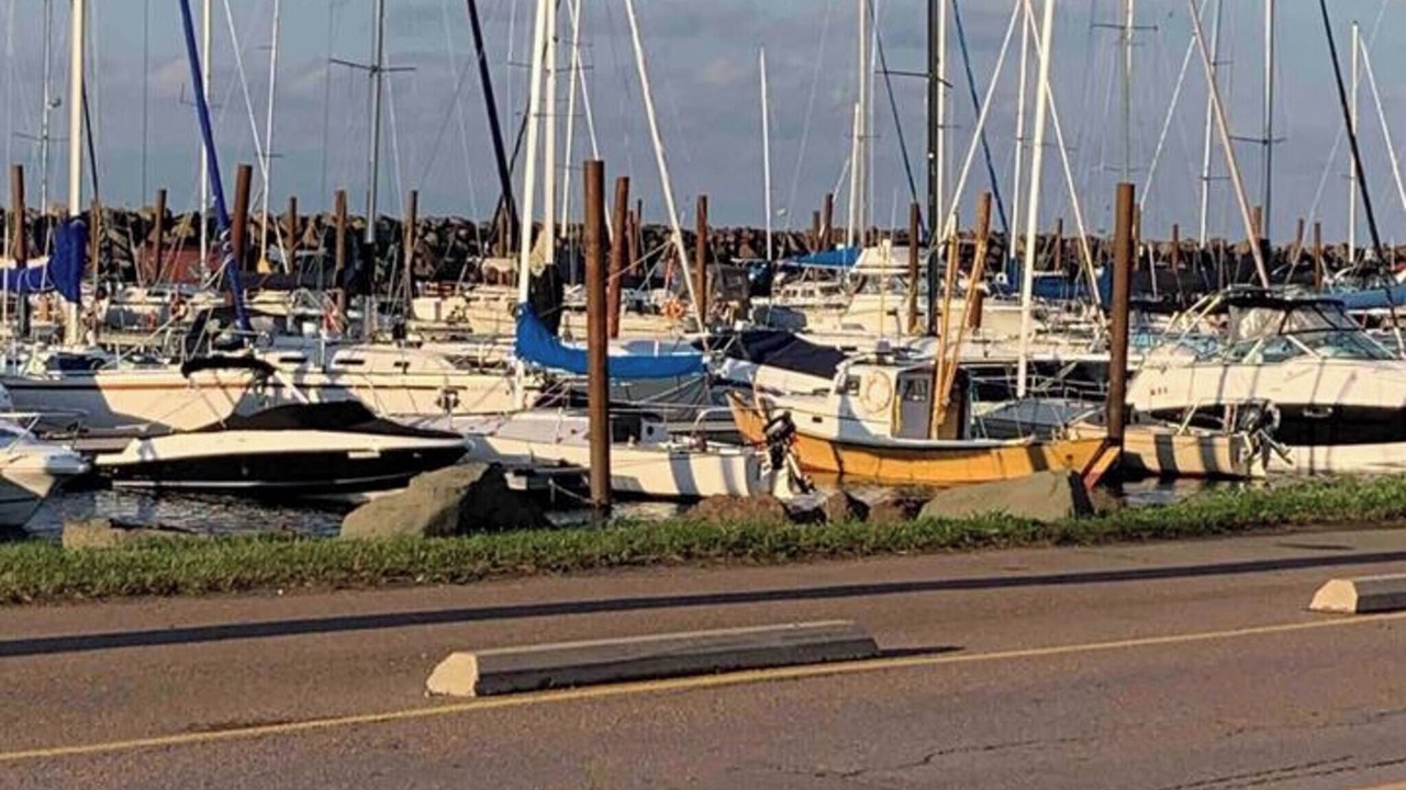 Photo of Others in Pointe-du-Chene