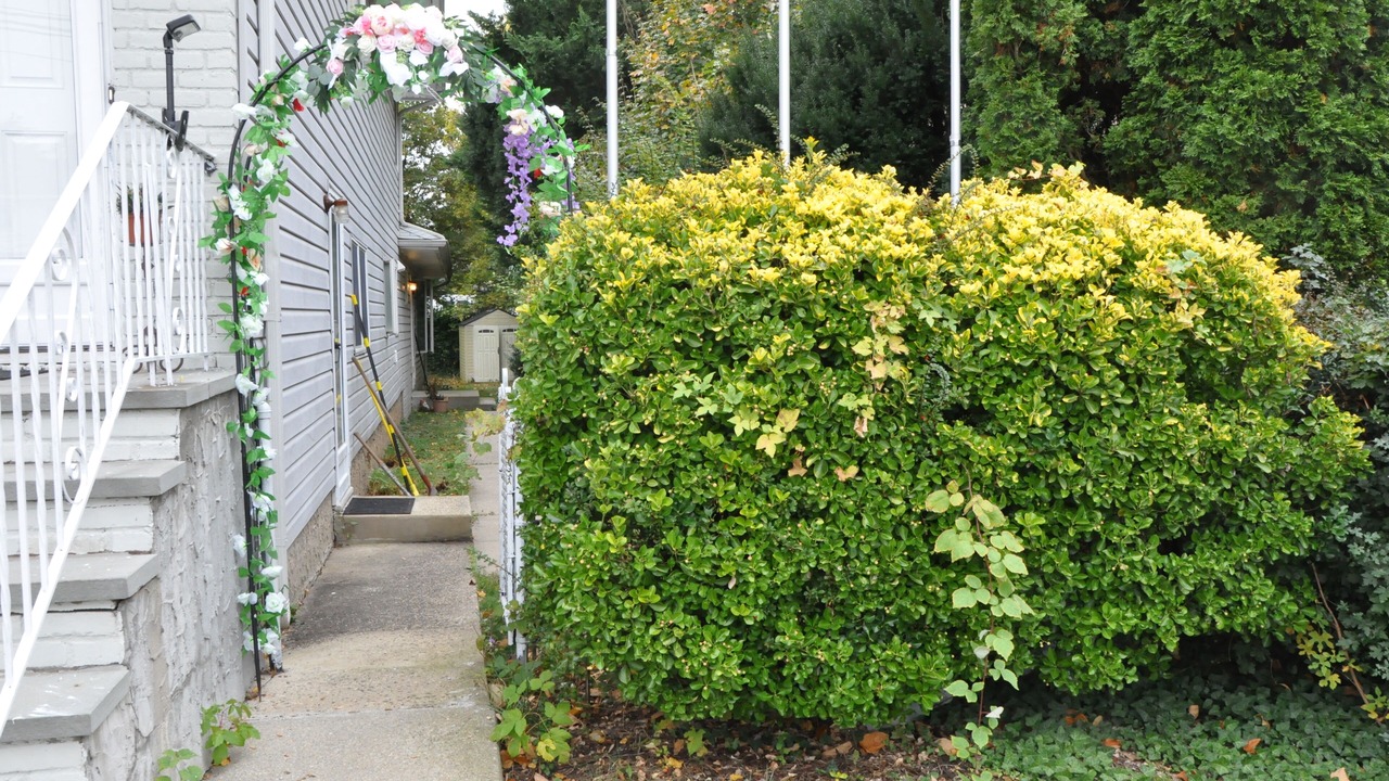 Photo of Outdoor in Locust Valley