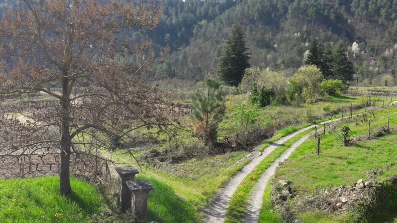 Photo of Others in Ribes