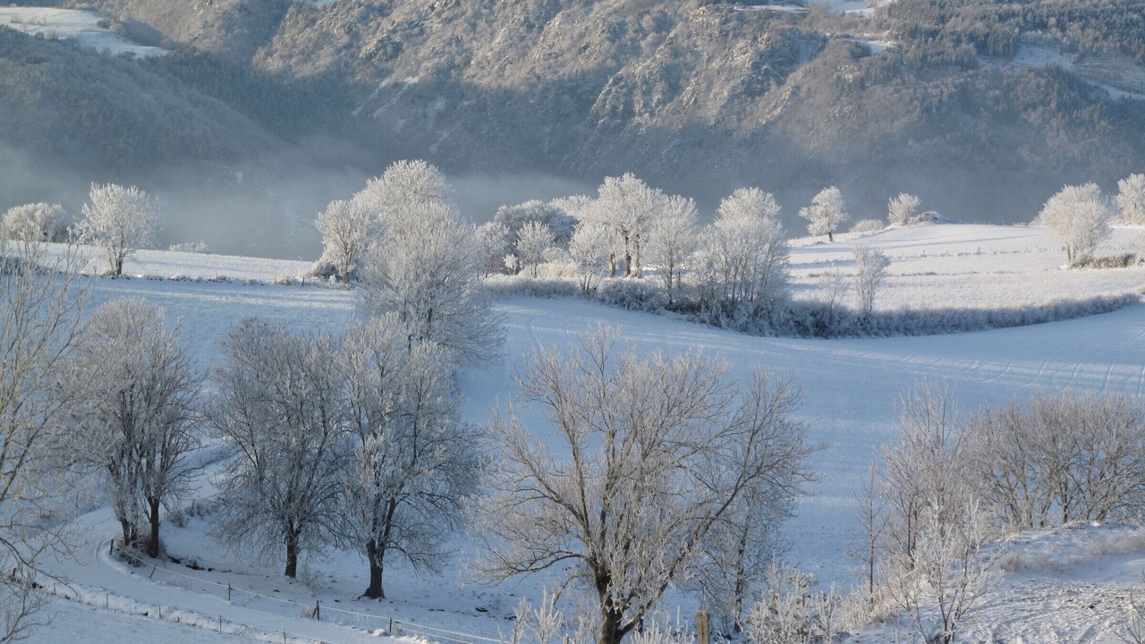 Photo of Others in Saint-Berain