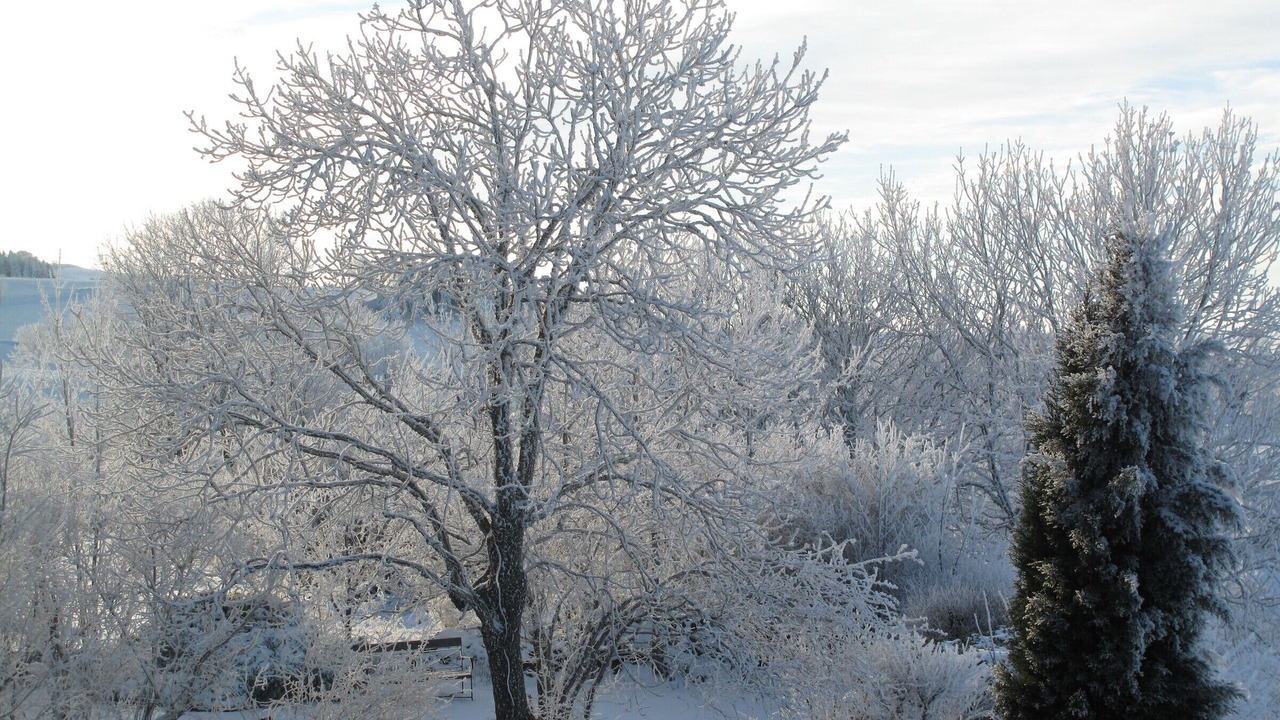 Photo of Outdoor in Saint-Berain