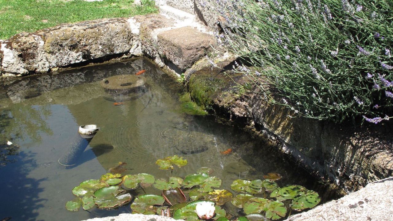 Photo of Outdoor in Saint-Berain