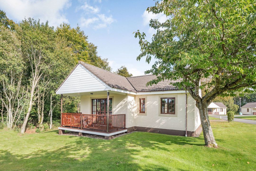 Photo of Others in Dailly