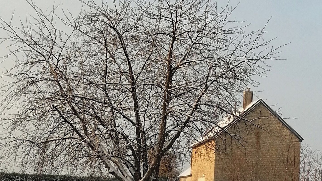 Photo of Outdoor in Buceels