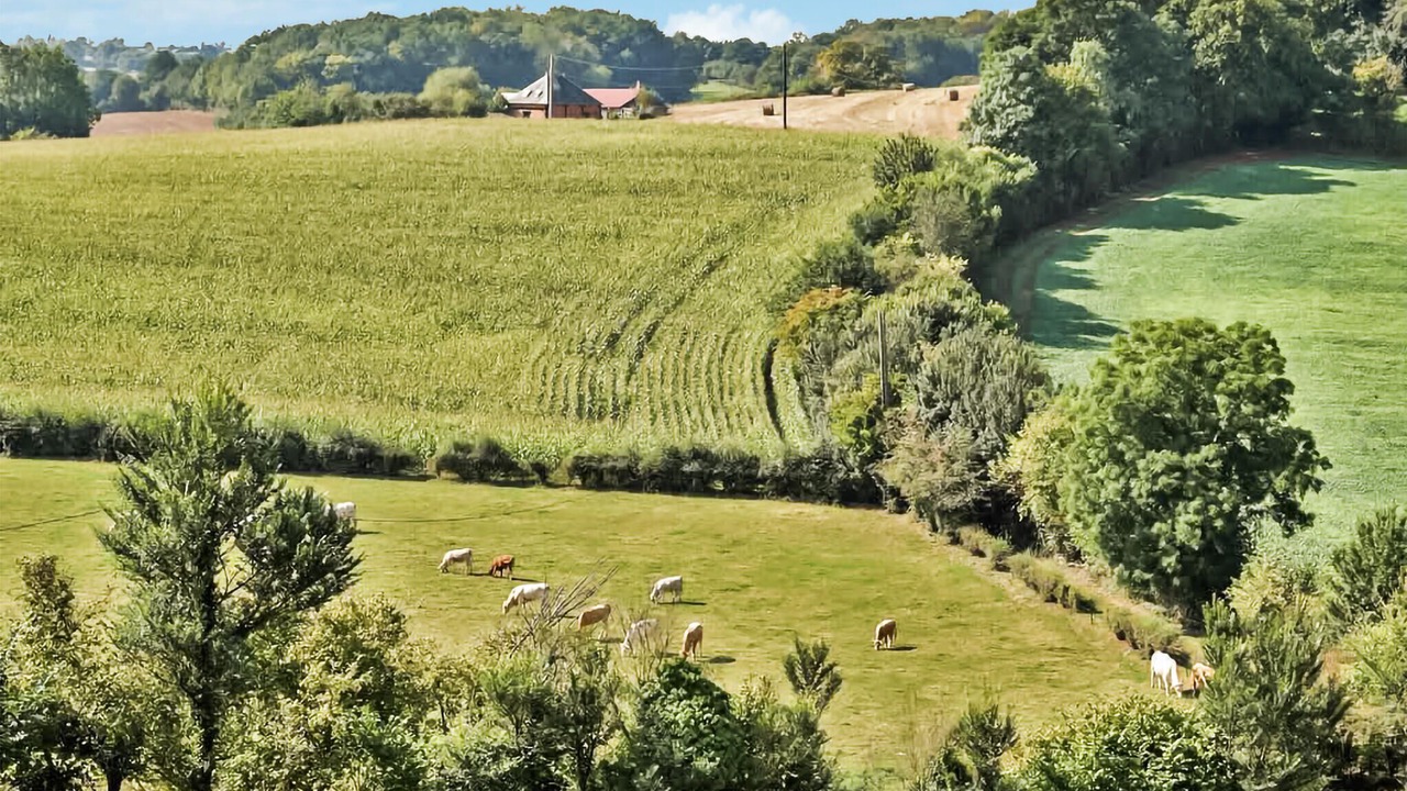 Photo of Others in Saint-Germer-de-Fly