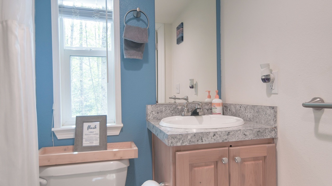 Photo of Bathroom in Packwood