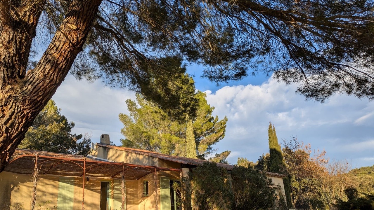 Photo of Outdoor in Puget