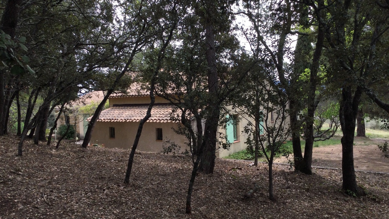 Photo of Outdoor in Puget