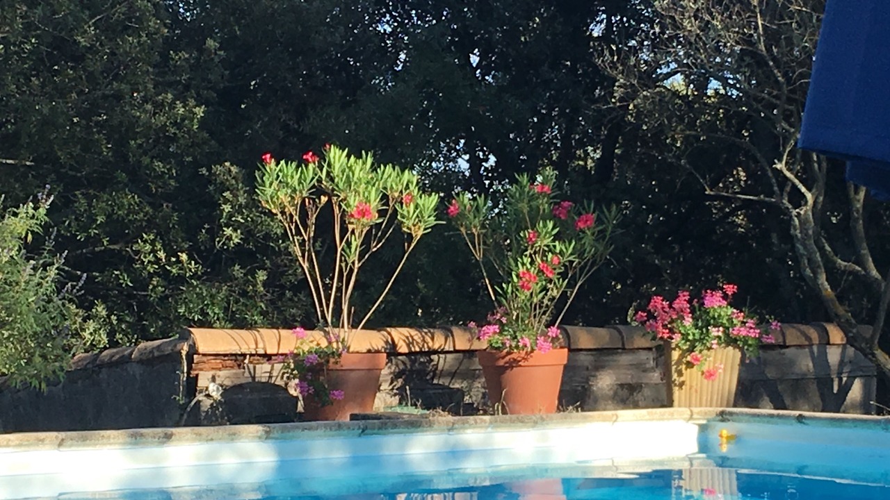 Photo of Outdoor in Puget