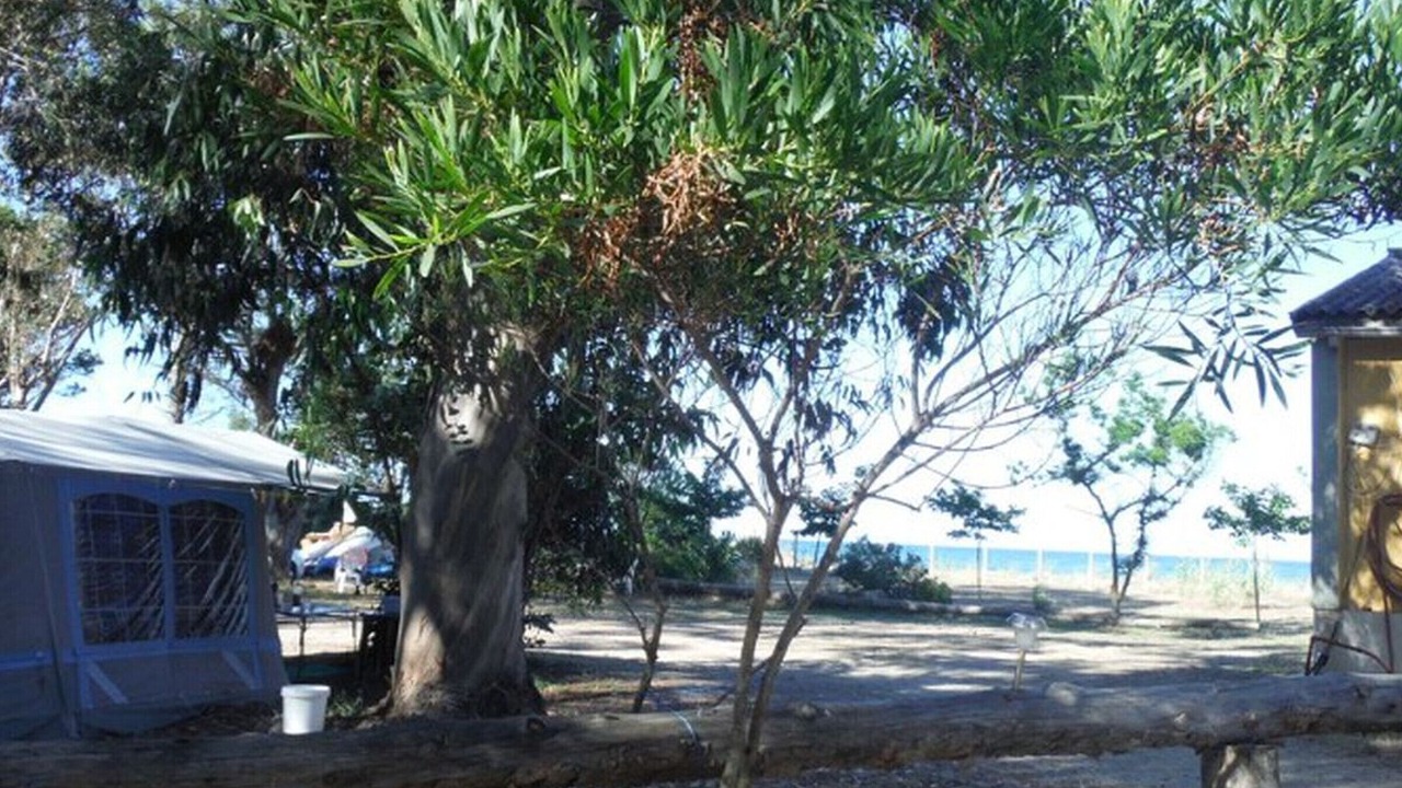Photo of Outdoor in Sorbo-Ocagnano
