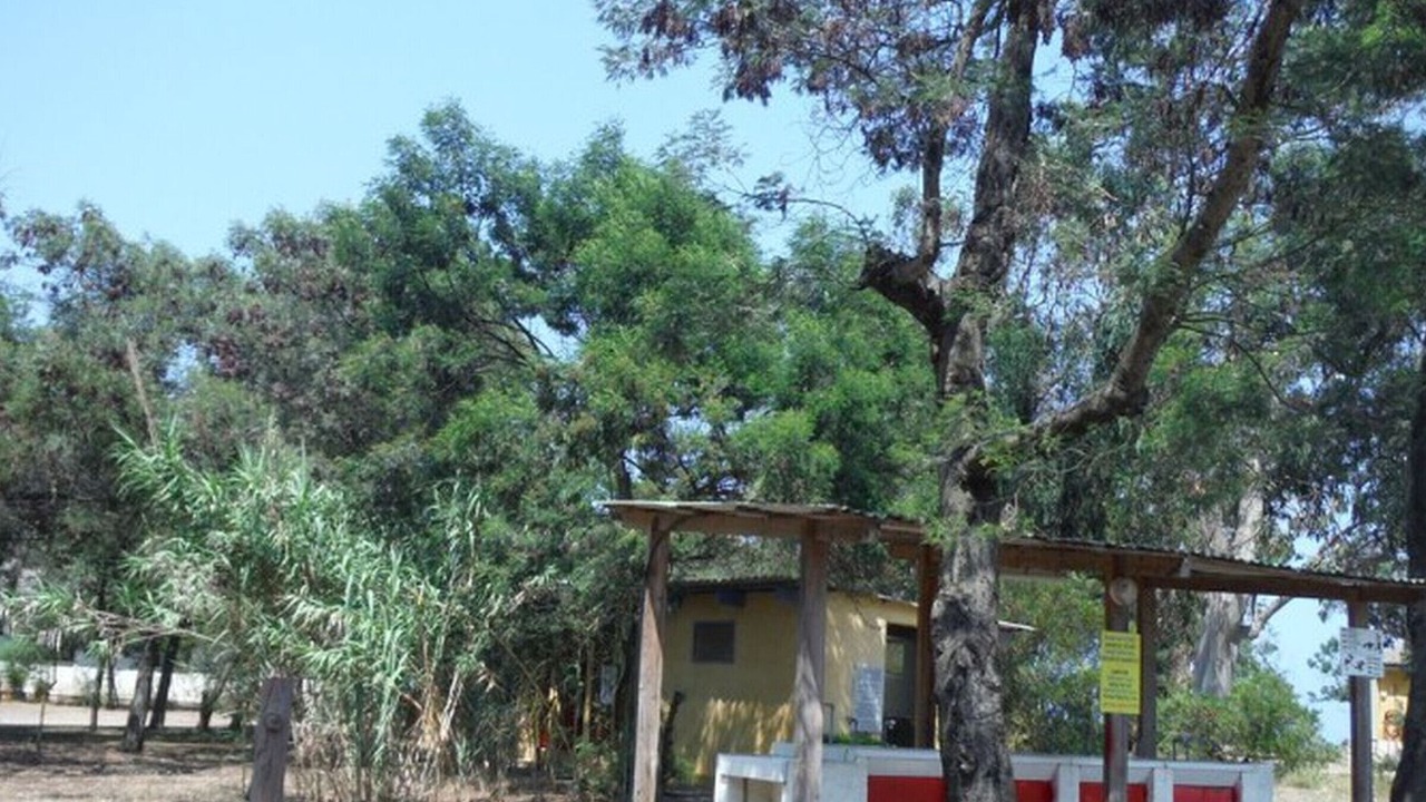 Photo of Others in Sorbo-Ocagnano