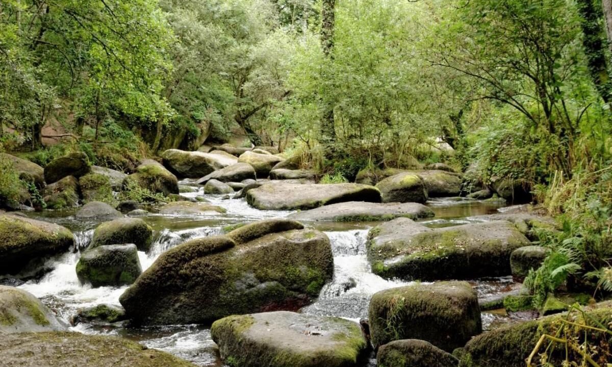 Photo of Others in Plaine-Haute