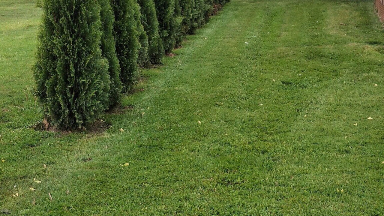 Photo of Outdoor in Trufant