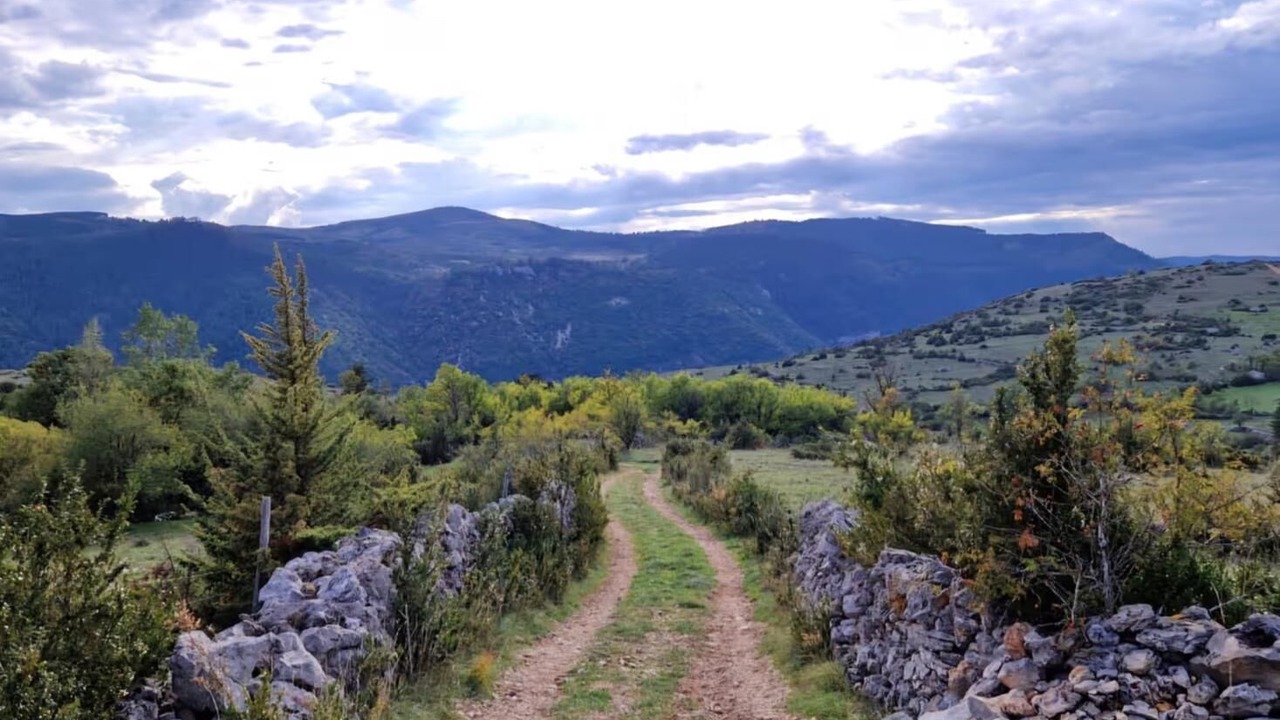 Photo of Others in Gorges du Tarn Causses