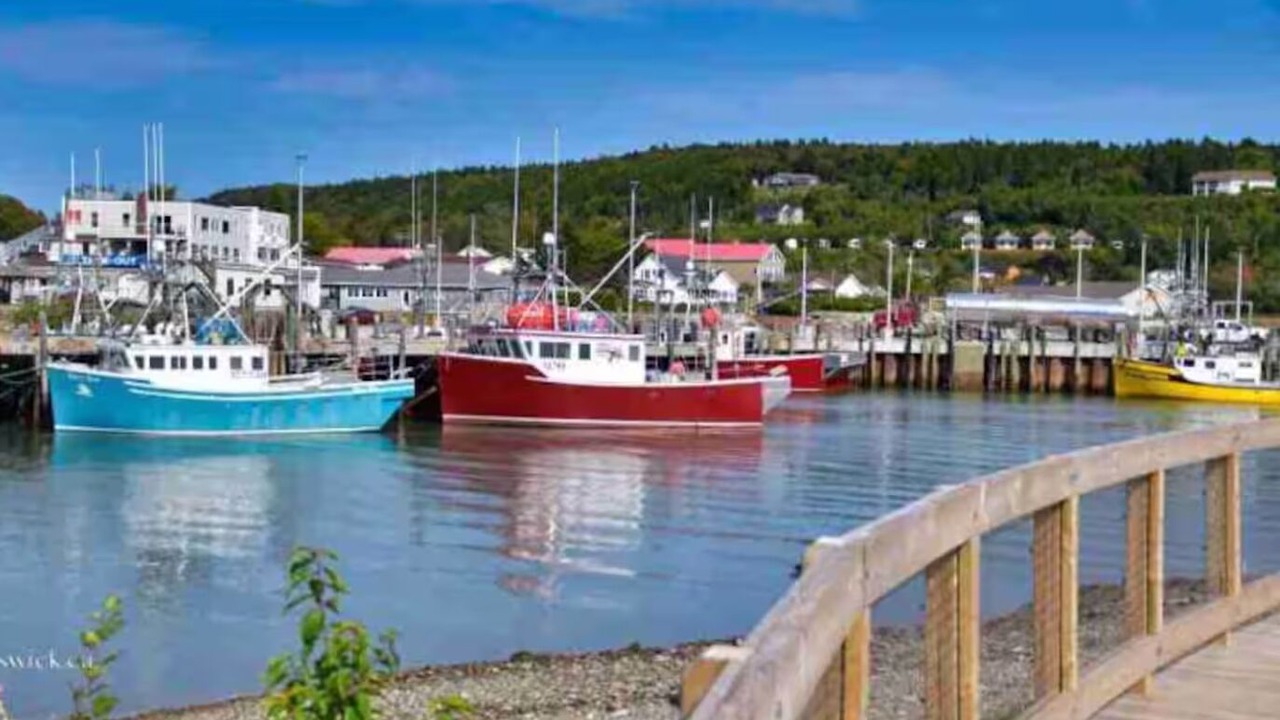 Photo of Others in Alma