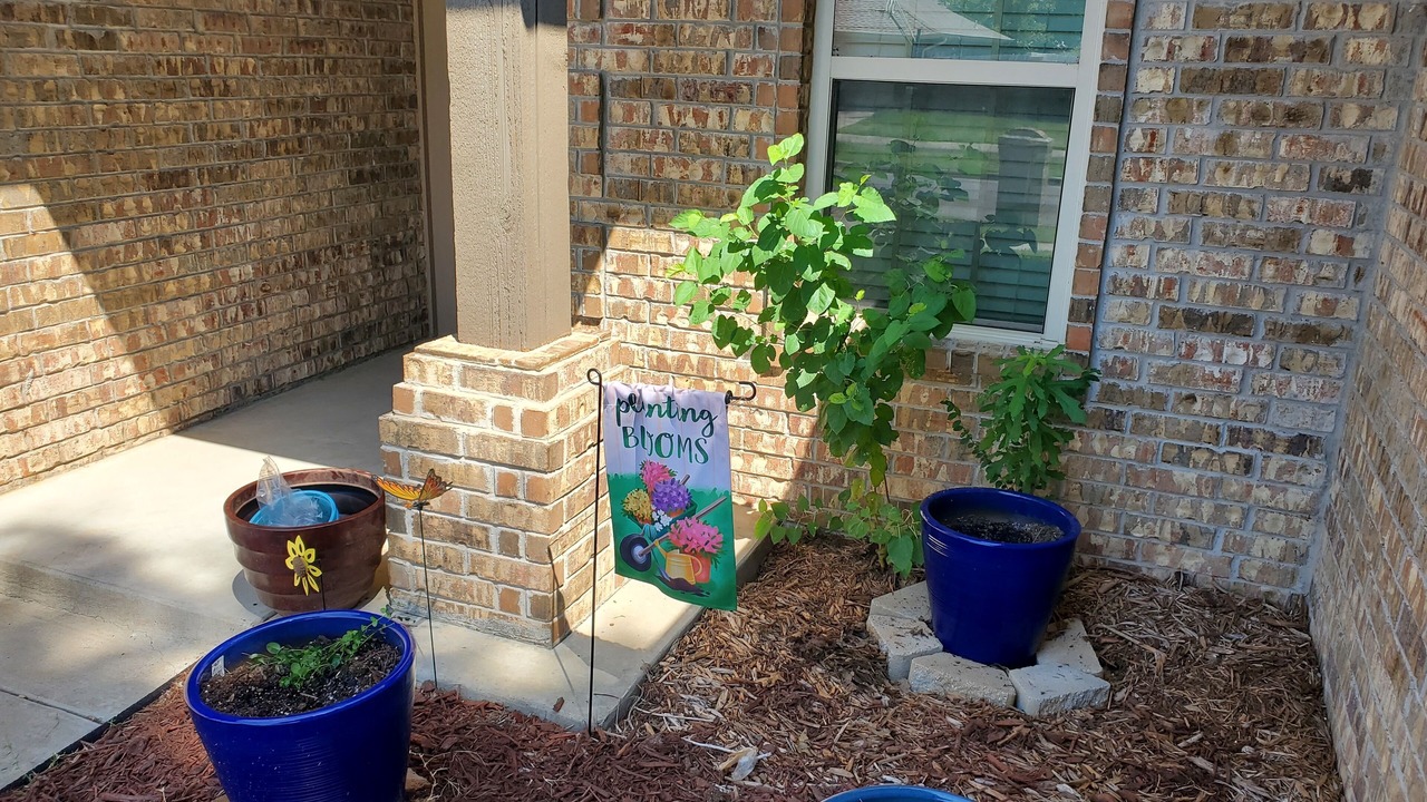 Photo of Outdoor in South Oklahoma City