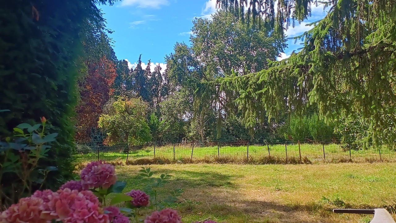 Photo of Outdoor in Saint-Lo