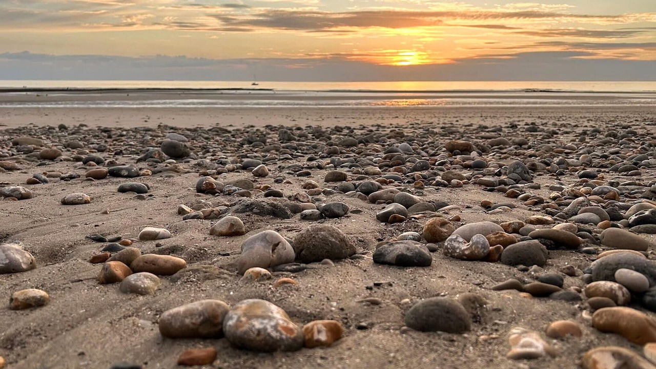 Photo of Others in Roquetoire