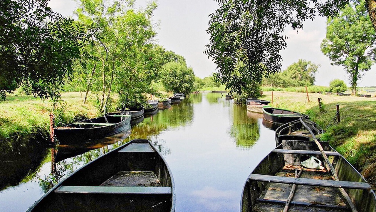 Photo of Others in Saint-Andre-des-Eaux