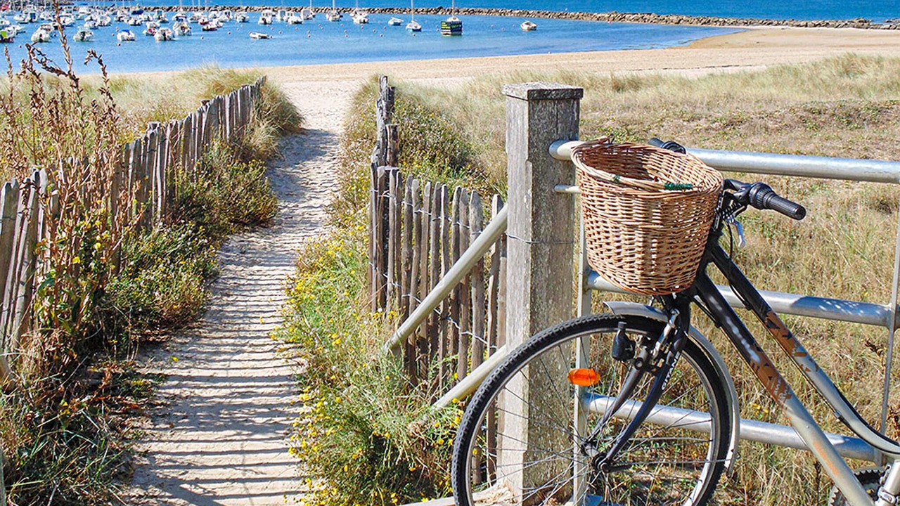 Photo of Others in Saint-Andre-des-Eaux