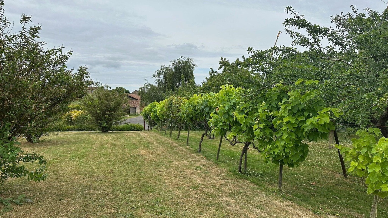 Photo of Others in Mauges-sur-Loire