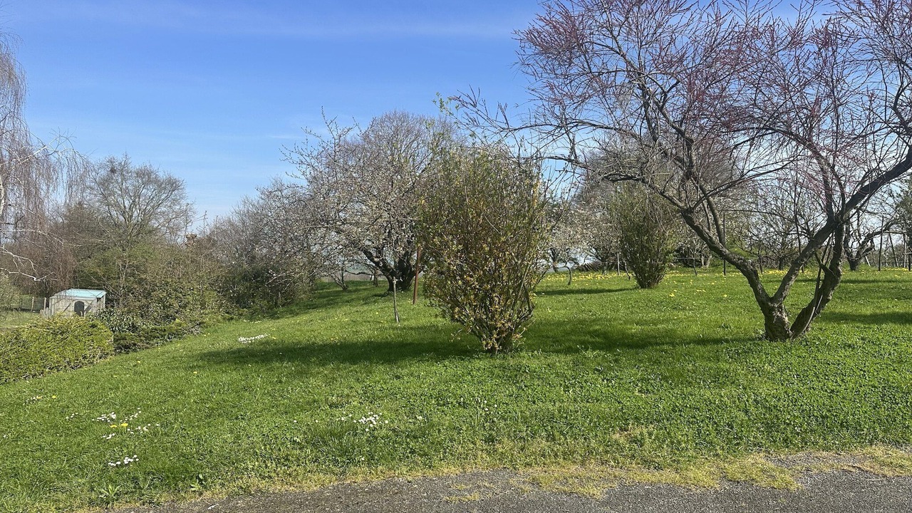 Photo of Outdoor in Mauges-sur-Loire