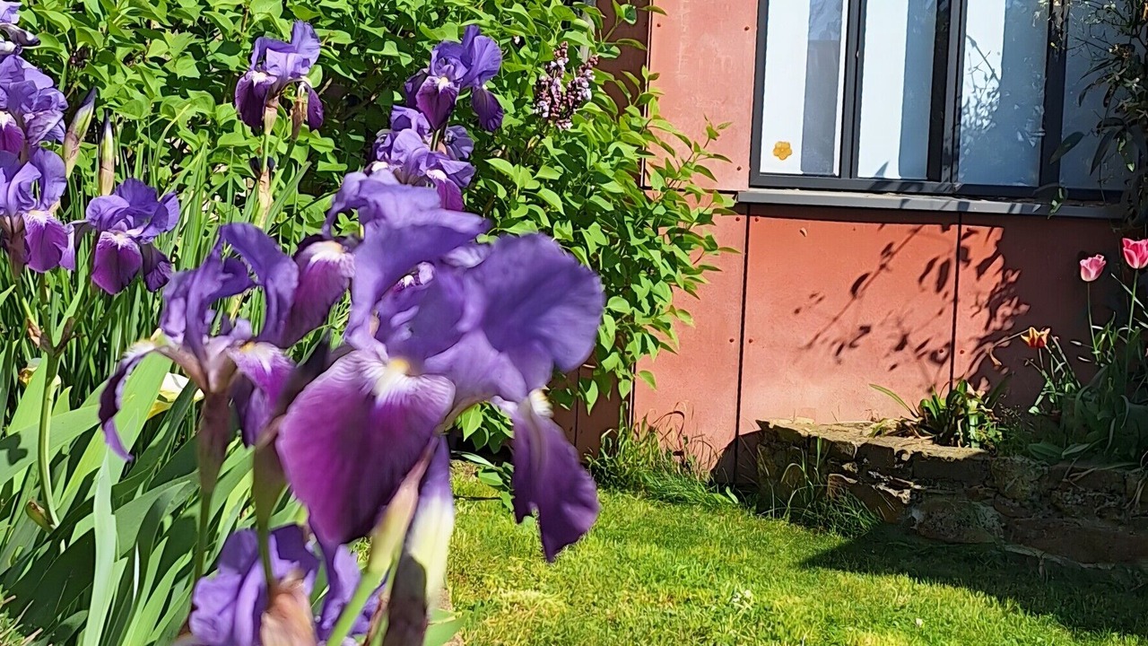 Photo of Outdoor in Mouzillon