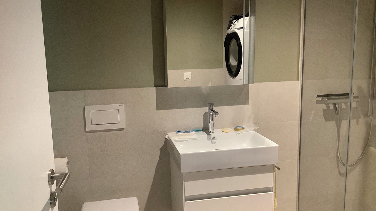 Photo of Bathroom in Alpnach