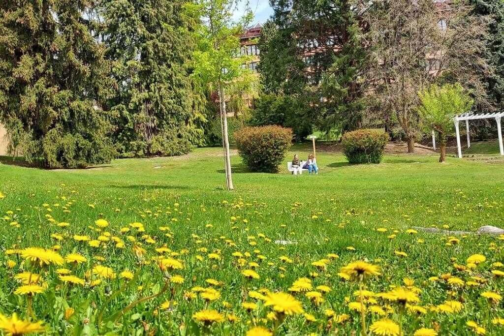 Photo of Outdoor in Enveitg