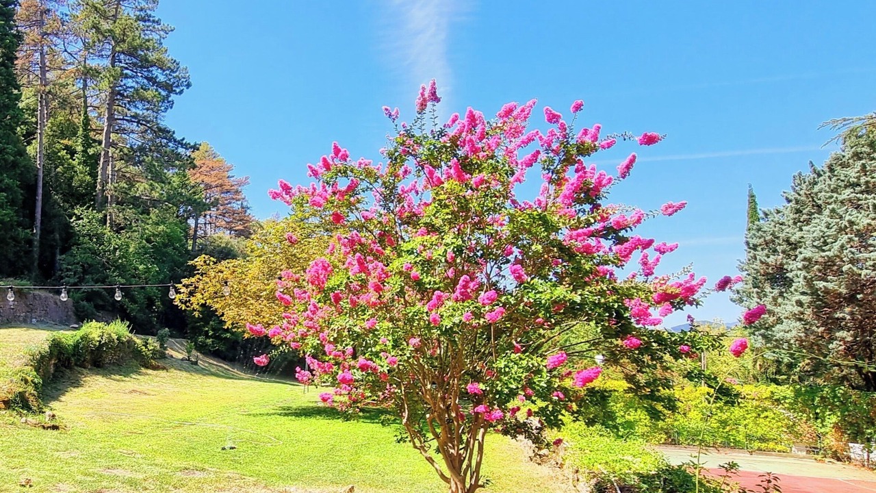 Photo of Outdoor in La Tour-Sur-Orb