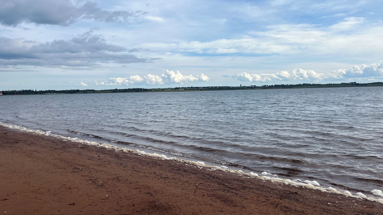 Photo of Others in Bayside