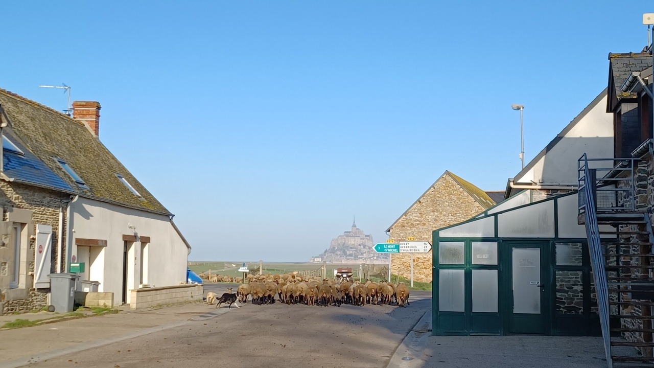 Photo of Others in Pontorson