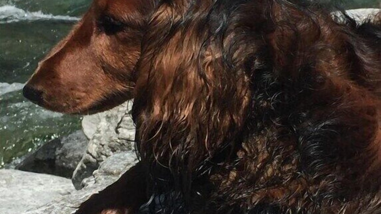 Photo of Others in Brione sopra Minusio