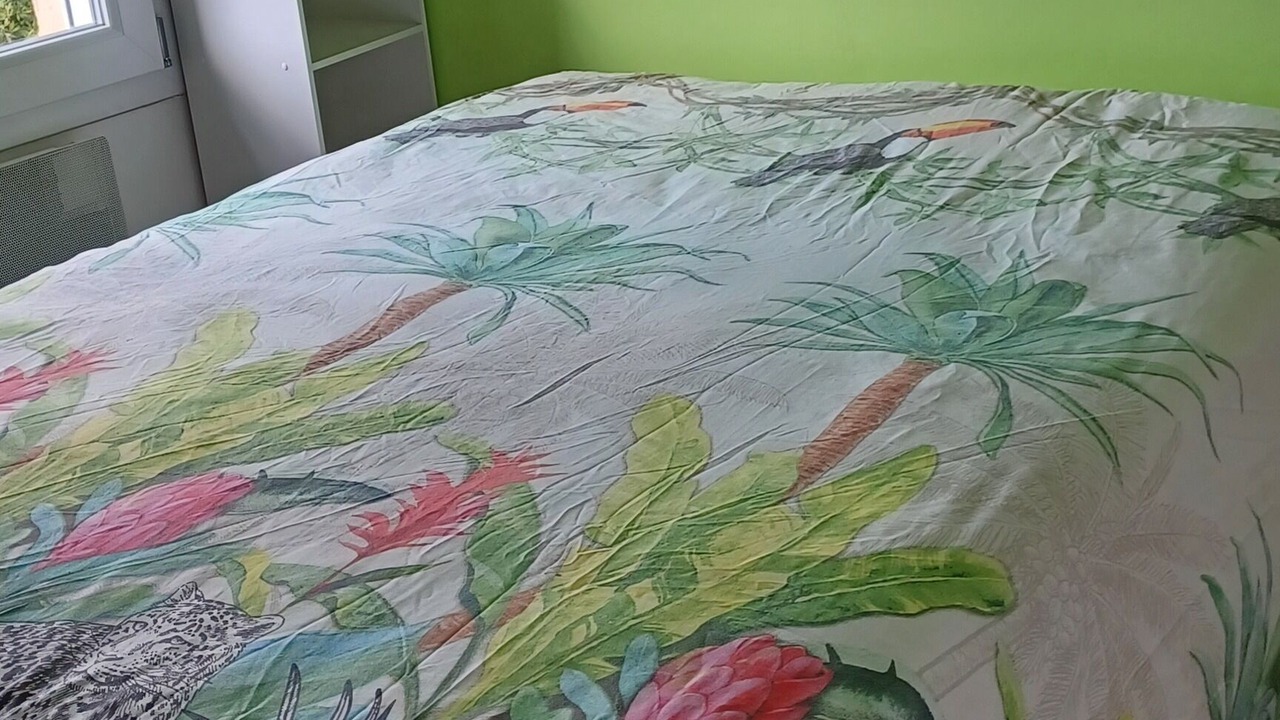 Photo of Bedroom in La Capelle-et-Masmolene