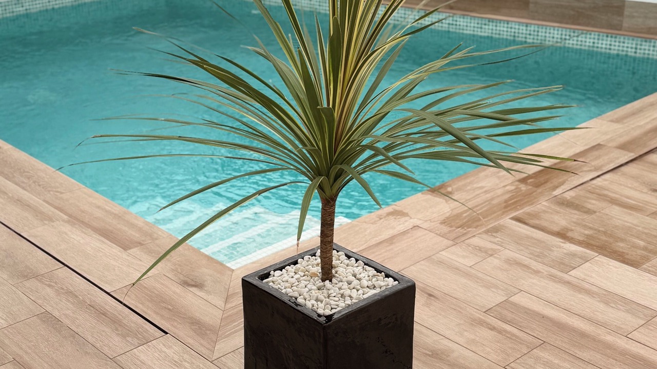 Photo of Outdoor in San Pedro del Pinatar