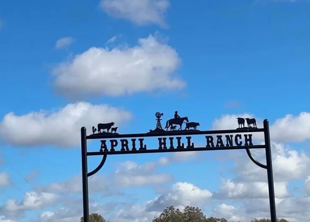 Photo of Others in Bellville