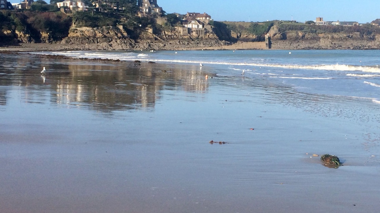 Photo of Others in Saint-Lunaire