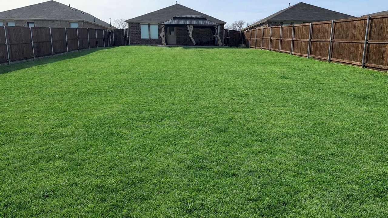 Photo of Outdoor in Little Elm