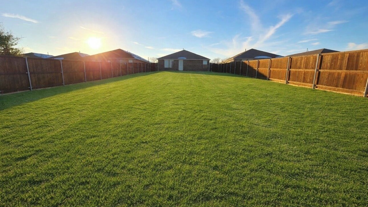Photo of Outdoor in Little Elm