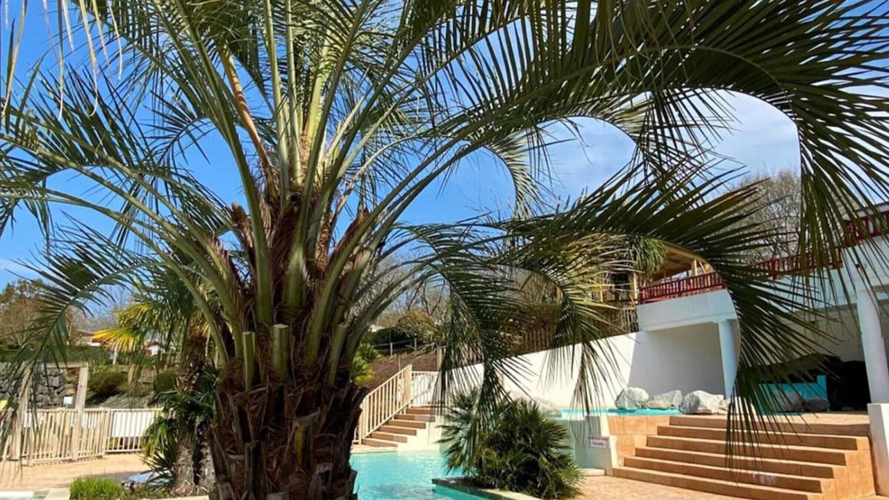 Photo of Outdoor in Espelette