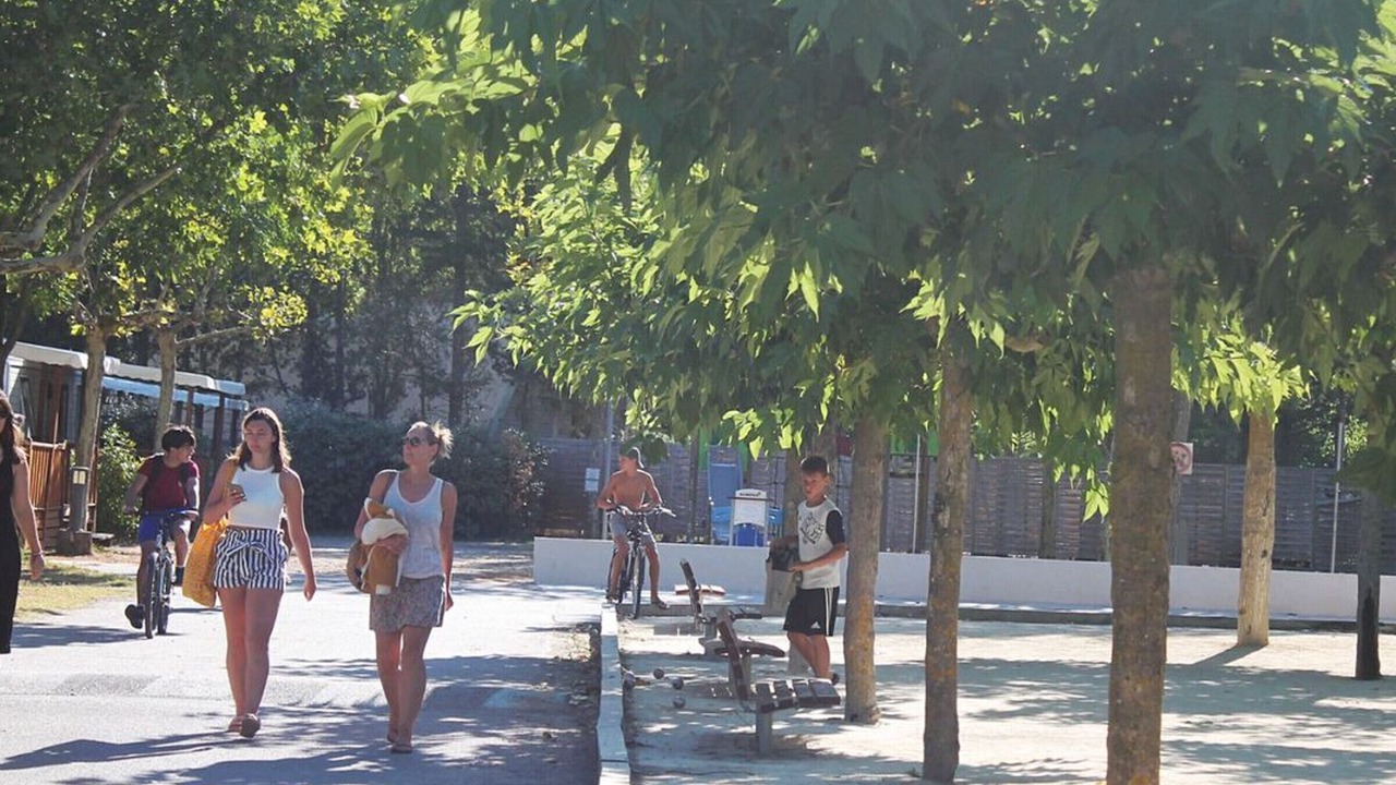 Photo of Others in La Petite Motte