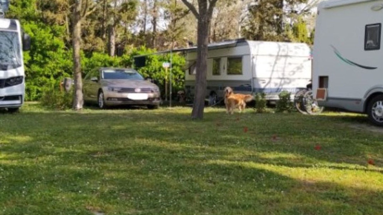 Photo of Outdoor in La Petite Motte