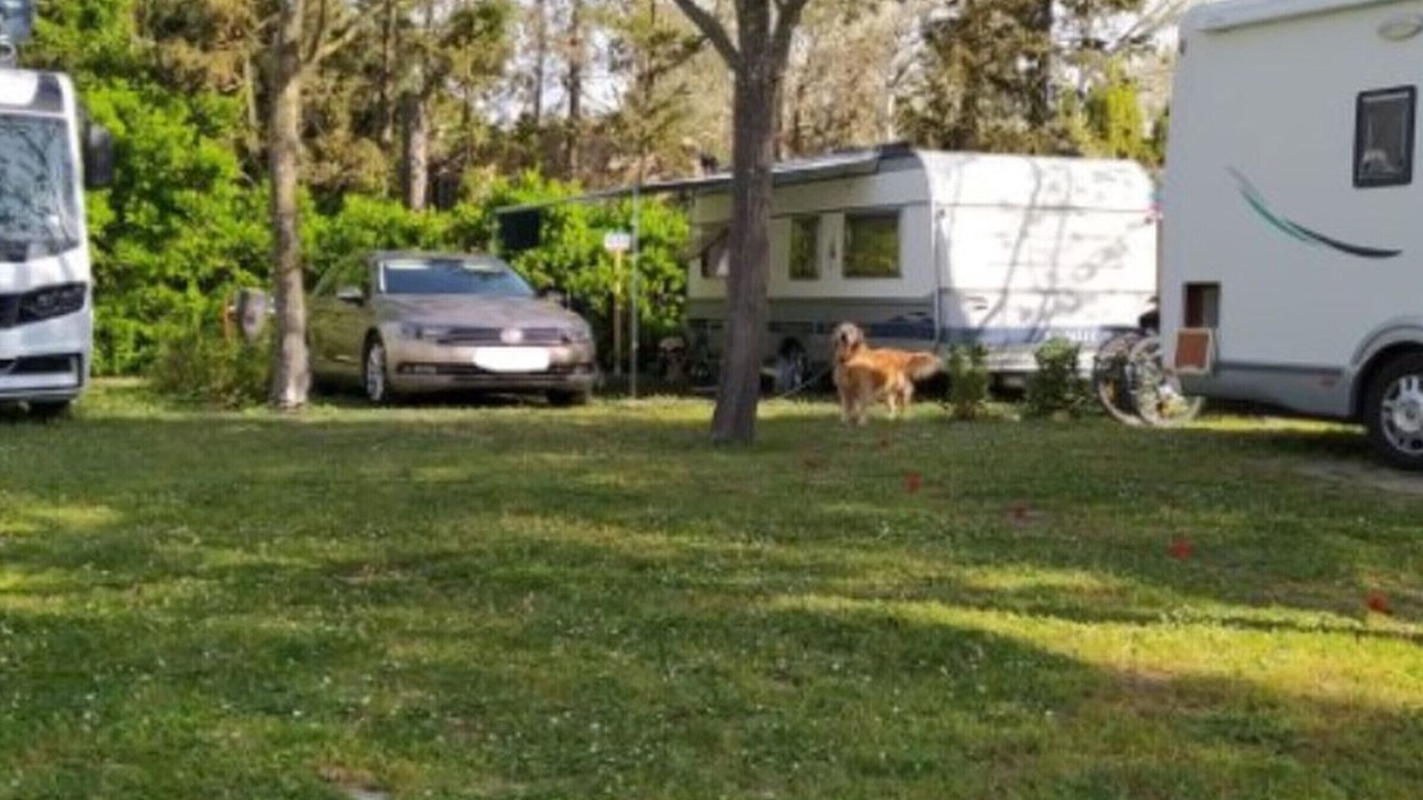 Photo of Outdoor in La Petite Motte