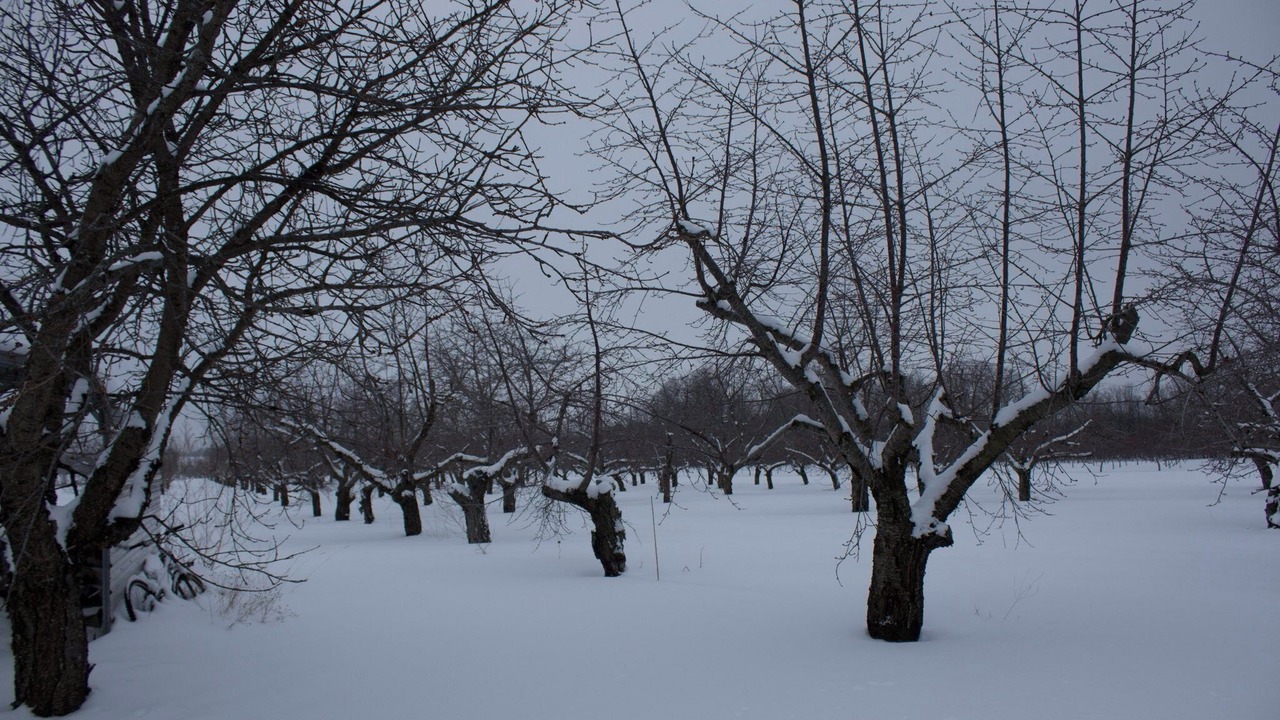Photo of Others in Suttons Bay