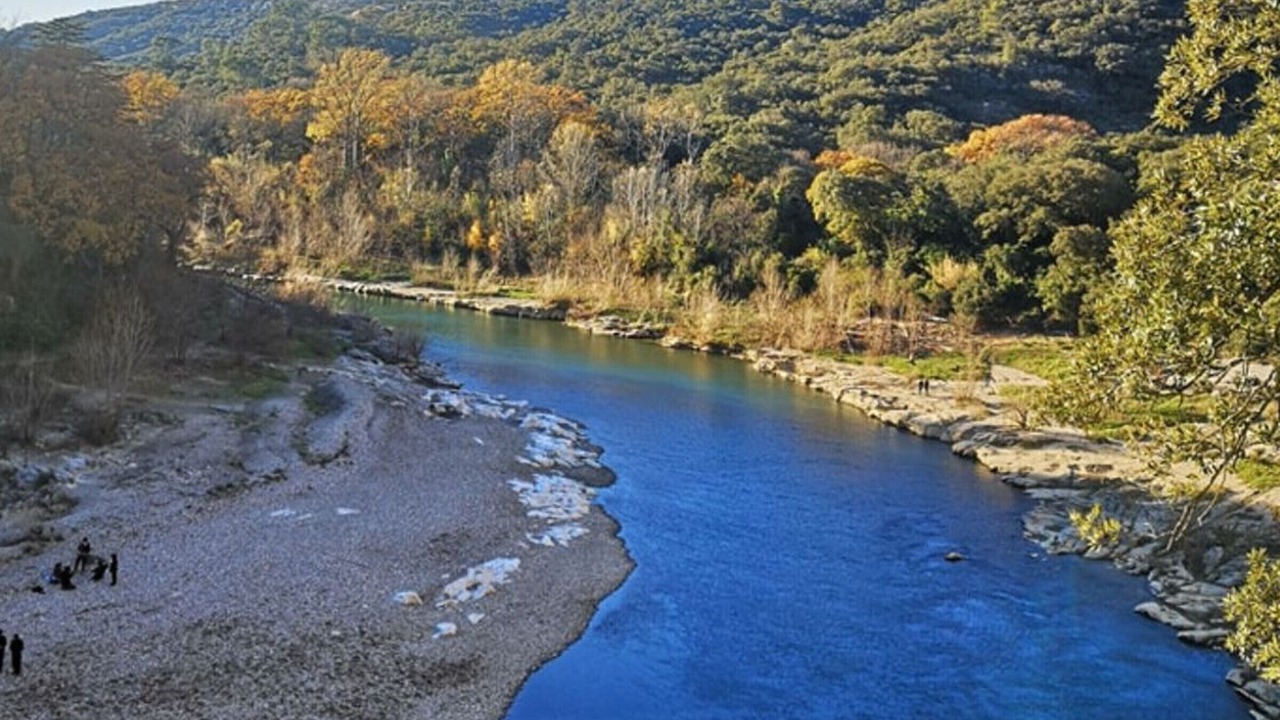 Photo of Others in Collias