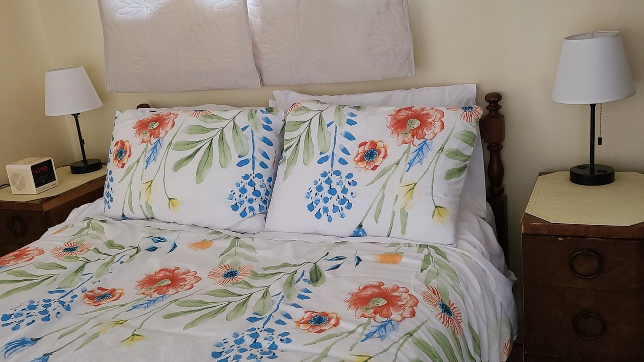 Photo of Bedroom in Catchacoma