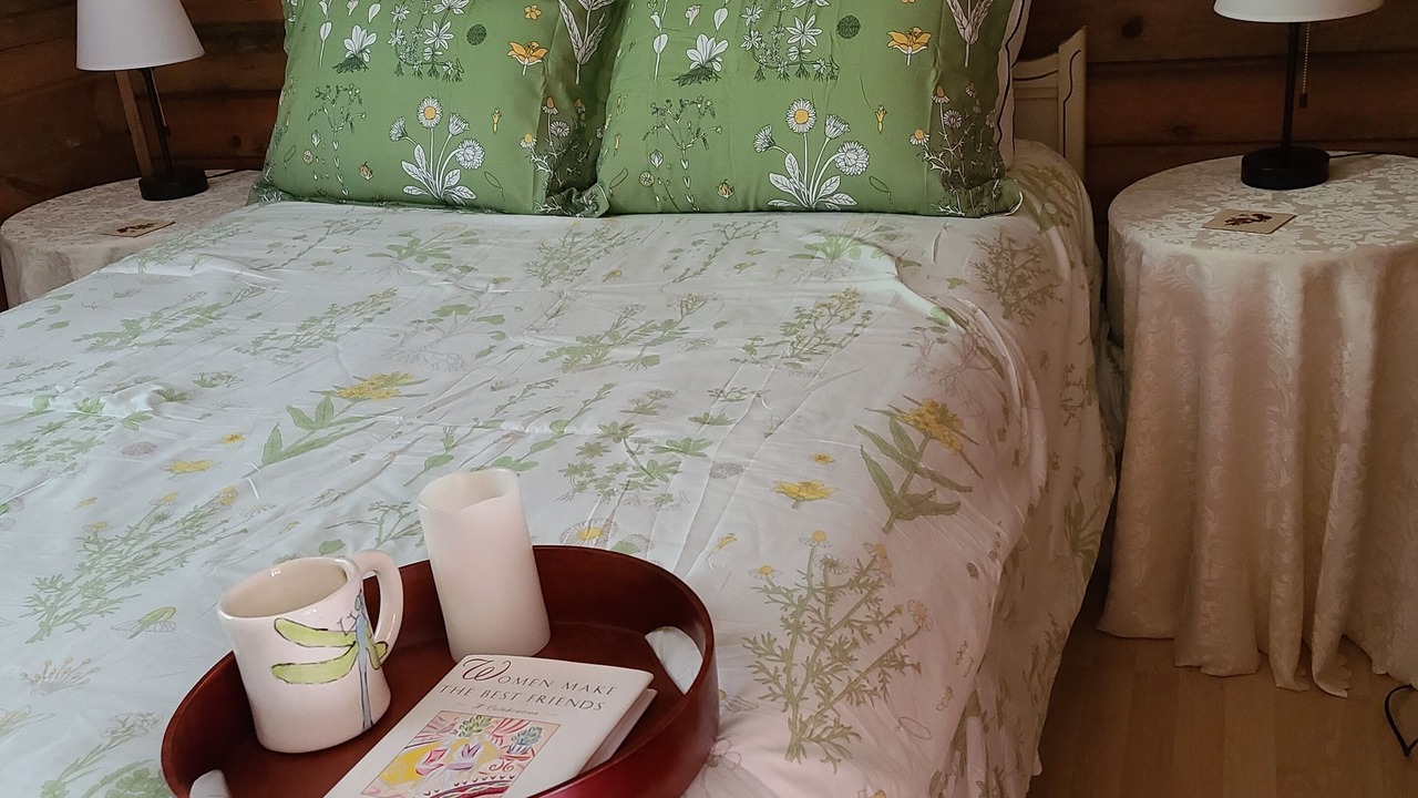 Photo of Bedroom in Catchacoma