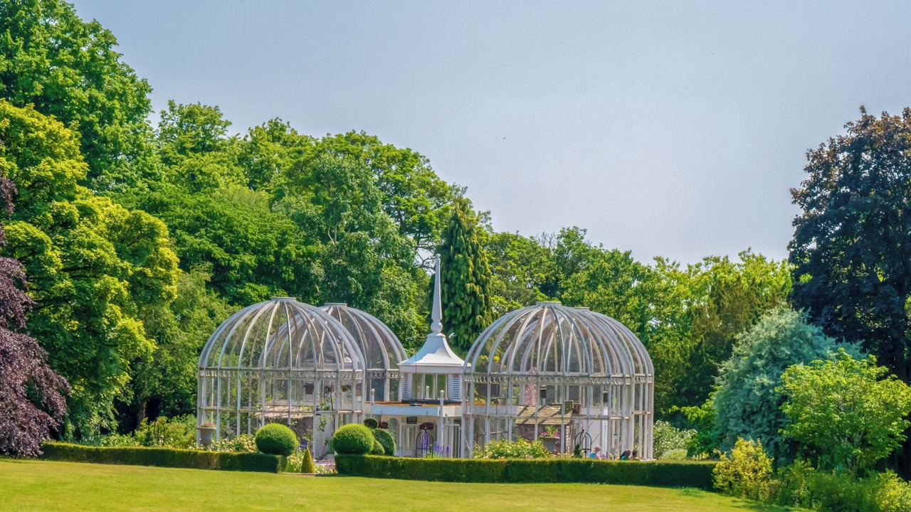 Photo of Others in Solihull